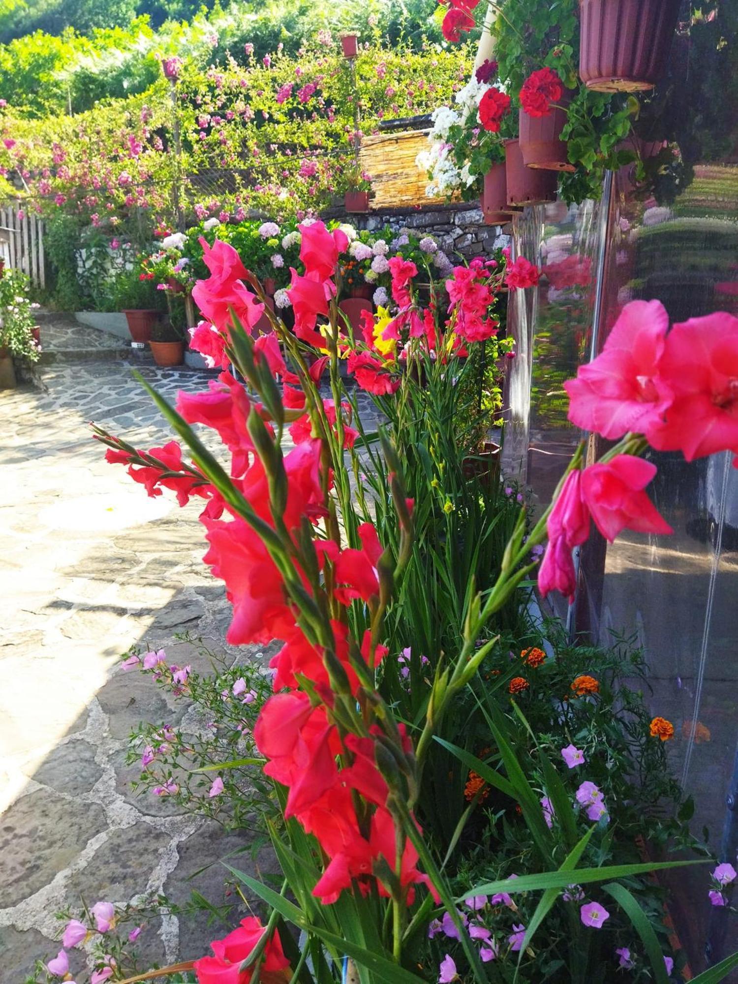 4 Seasons Suites Paradise Near Athens Airport 2 Μαρκόπουλο Εξωτερικό φωτογραφία